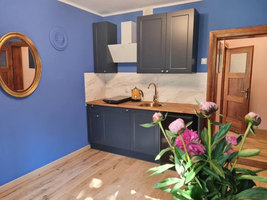 Apartament Kraszewskiego - Retro, Blisko Starowki, Kolo Parku, Ogrod Dla Gosci, Rowery Free Stary Toruń Eksteriør billede