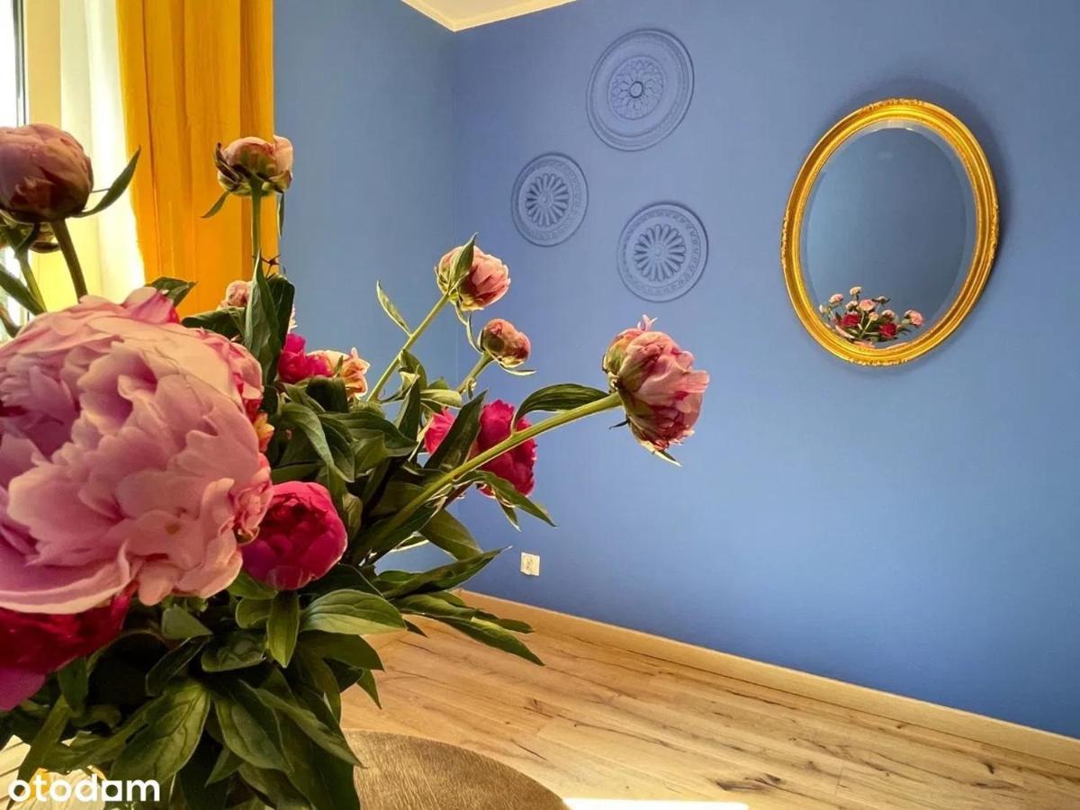 Apartament Kraszewskiego - Retro, Blisko Starowki, Kolo Parku, Ogrod Dla Gosci, Rowery Free Stary Toruń Eksteriør billede